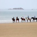 큰대광목장 이미지