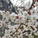 십리대밭 축구장 이미지