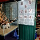 아쿠아프로트레이딩 | 아쿠아프로트레이딩, 남양주 희귀 열대어 전문 수족관 방문 후기!