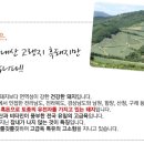 토담흑돈