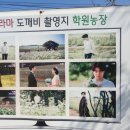 왕림농장 이미지