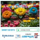 스마트해법수학 티스토리