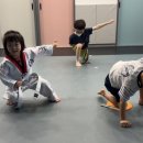 용인대 국가대표 김병태 태권도장 이미지