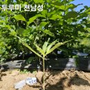 두루미농원