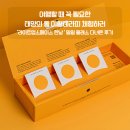 여행할 때 상비약 태양의 돌 이혈테라피 체험하러 &#39;라이트업스페이스 한남 원데이 클래스&#39; 다녀온 후기