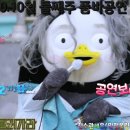🔱 2020.10월 둘째주 품바공연 일정 🔱 이미지
