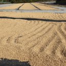 신평생활사박물관 이미지