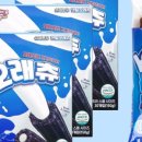 올데이펫 이미지