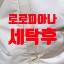 롯데명품세탁 이미지