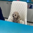 GS25 대의아카데미 이미지