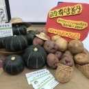 조미영농장 이미지