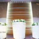 더청담 이미지