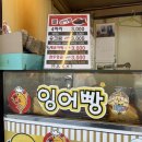 옵티마상원약국 | 서울 망원동 붕어빵집_망원역 2번 출구 앞 [완두앙금 붕어빵] 후기