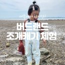 서산 아이랑 조개캐기 체험 버드랜드에서 예약하고 다녀왔어요!