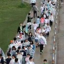 유일 효 태권도 이미지