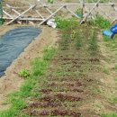 호재농장 이미지