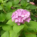 노인복지관(신관) 이미지