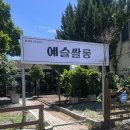 더혜림헤어 | 광주 화정동 미용실 염색 맛집 예슬쌀롱 헤어/혜림디자이너 후기