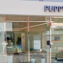 퍼피쿼터스 이미지