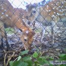 점동농장 이미지