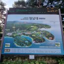 청남대 진입로 | 대전 청주 근교 당일치기 여행 추천, 가을축제와 함께하는 청남대 예약없이 단풍구경가자!
