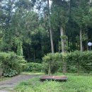 수미부동산공인중개사사무소 이미지