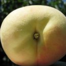 감곡농장 이미지