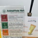 대구 고양이 미용 밀꼬냥 이미지