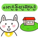 웰컴독 애견펜션 이미지