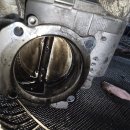 오토라인 이미지