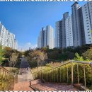 호매실서희부동산공인중개사사무소 | 호매실오피스텔 신뢰할 수 있는 부동산 중개의 시작, 서희코뿔소!