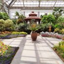 경주동궁원 이미지