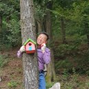 안*경 - 미추홀구 소성로277번길 10 | 안*경