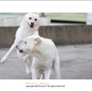 수니 티스토리