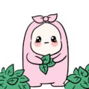 솔비알 이미지