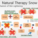 그린트리화장품 이미지