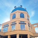 바나나 반려견 미용실 이미지