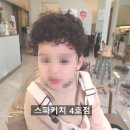 스파커치4