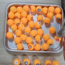토리로또