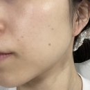햄부기 햄북스딱스 햄부기온앤온을 차려오거라