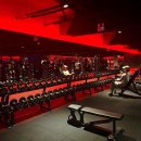 신기세천 이미지