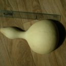 여주-0054 이미지