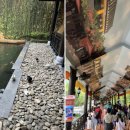 동양카인테리어 이미지