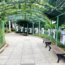 뽀뽀애견농장 이미지