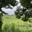 시골슈퍼 포장마차 이미지