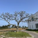 용수길 114 이미지