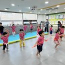 용인대금메달태권도 이미지