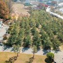 사과밭스테이 이미지