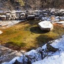 도림사계곡 이미지