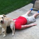 The Man's Dog 이미지